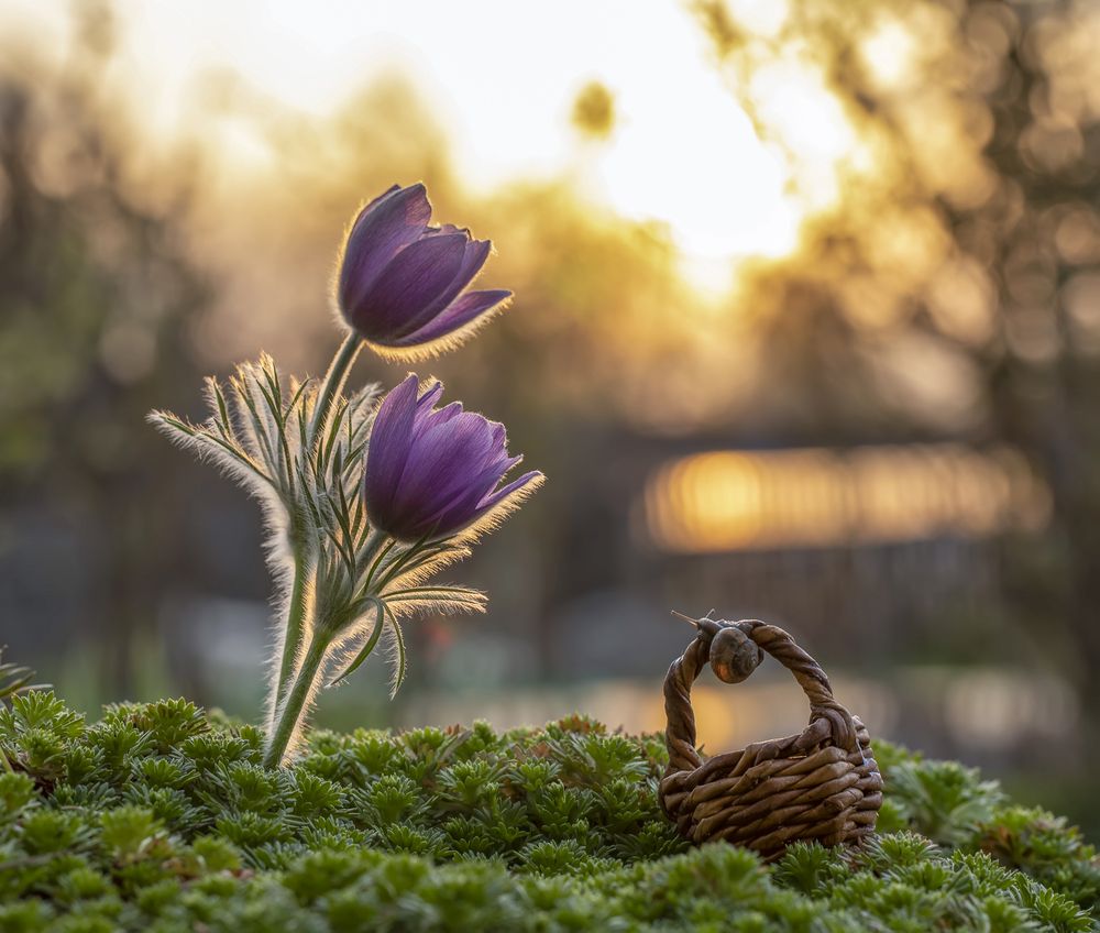 Photograph by Татьяна Феденкова