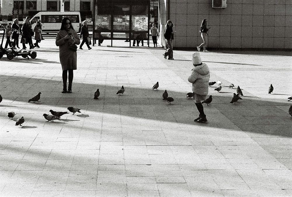 Photograph by Михаил Моисеев