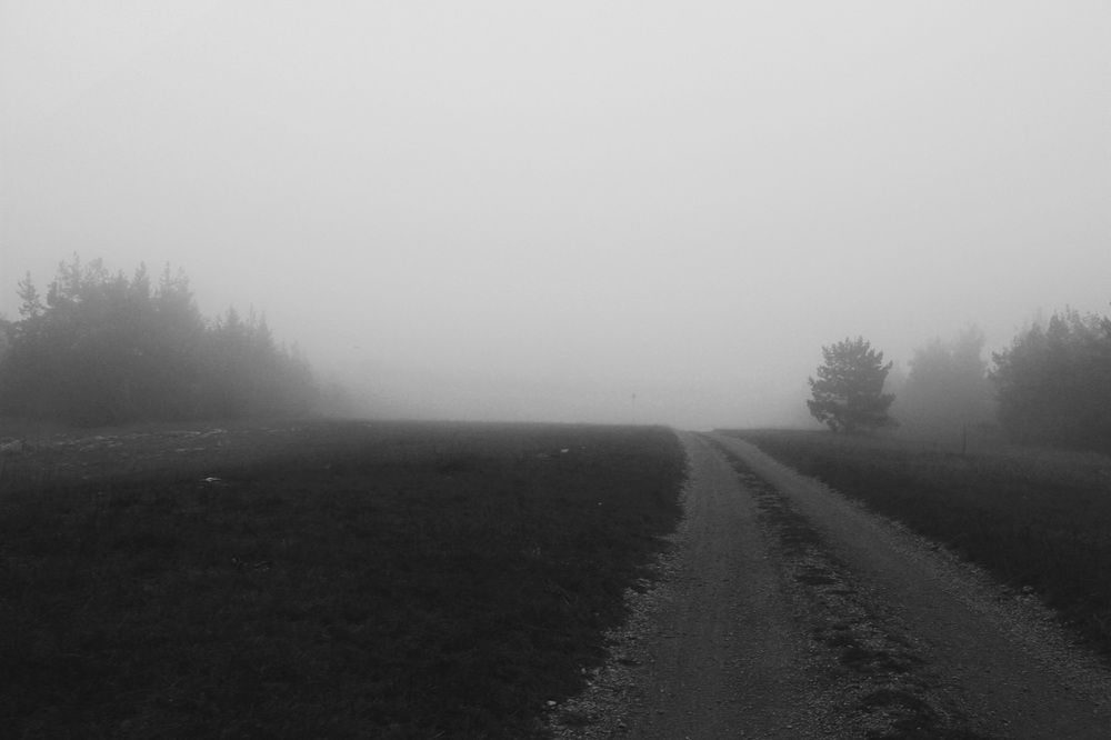 Photograph by Наталия Степанова