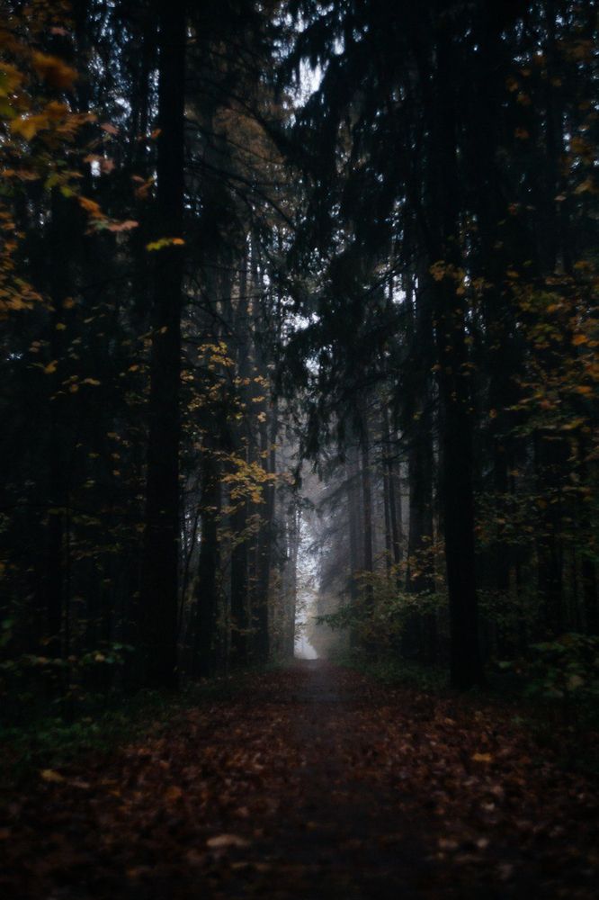 Photograph by Наталия Степанова