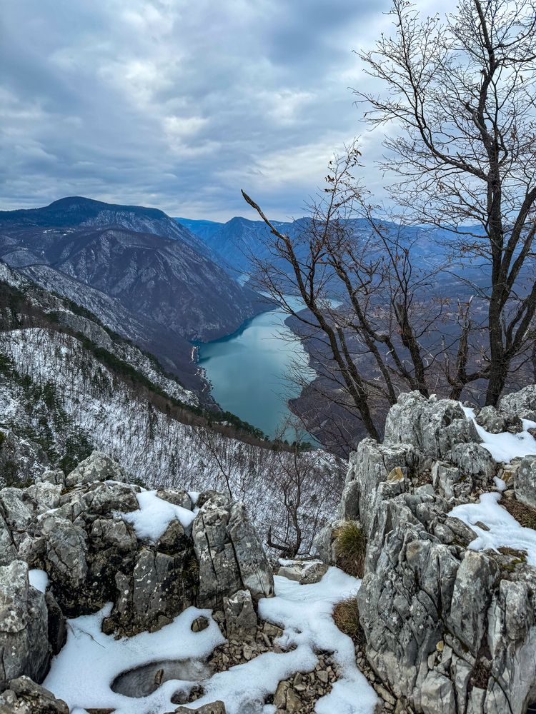 Photograph by Дарья Логовская