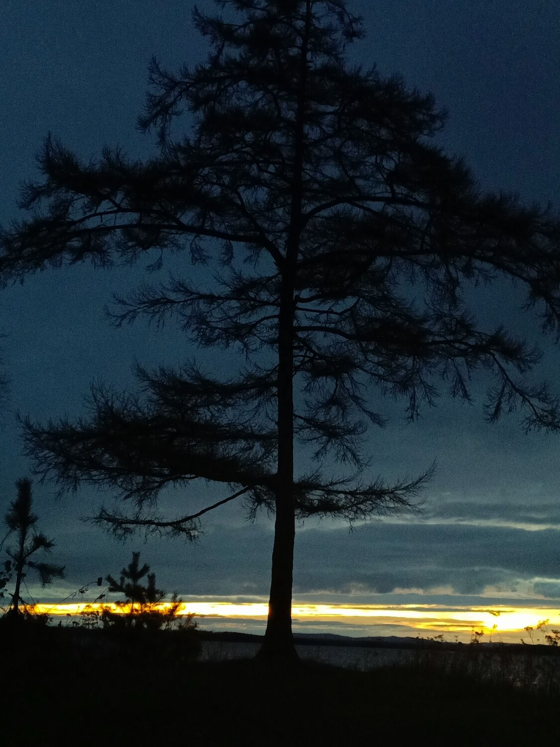 Photo #12178214