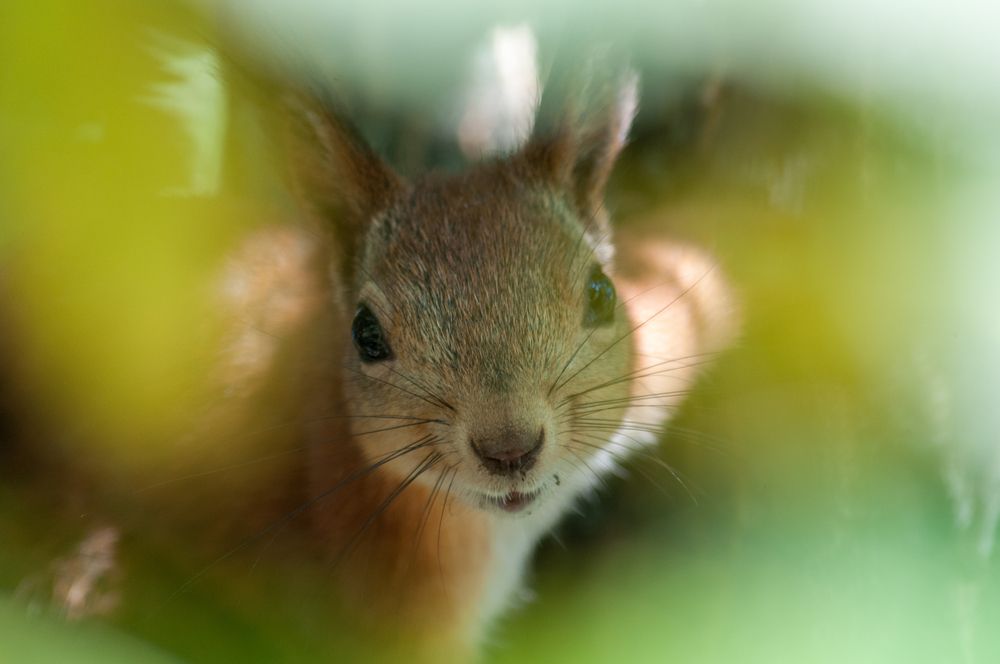 Photograph by Андрей Лактюшин