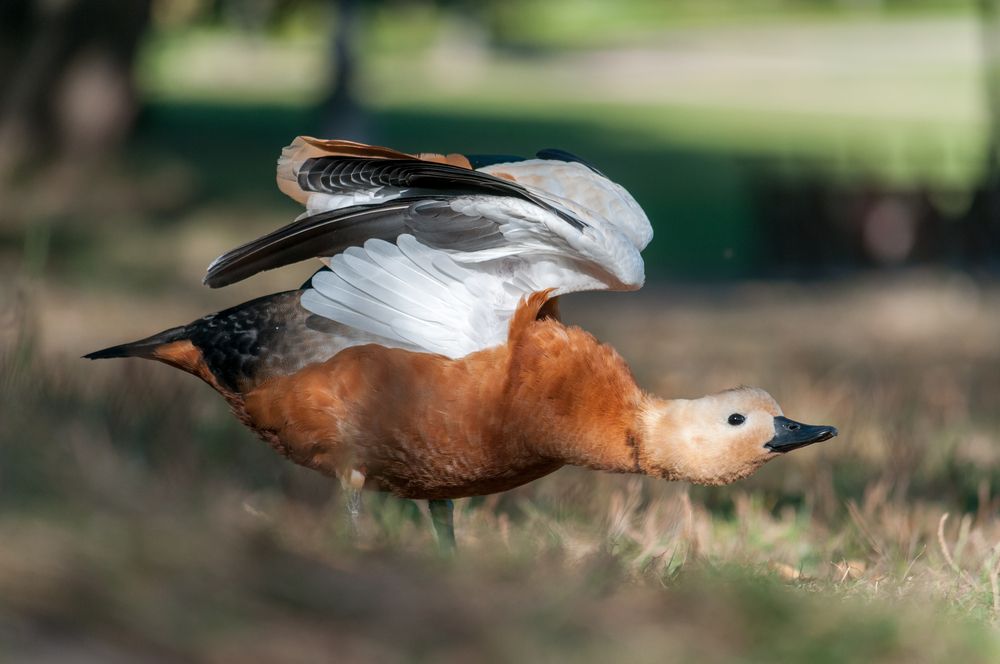 Photograph by Андрей Лактюшин