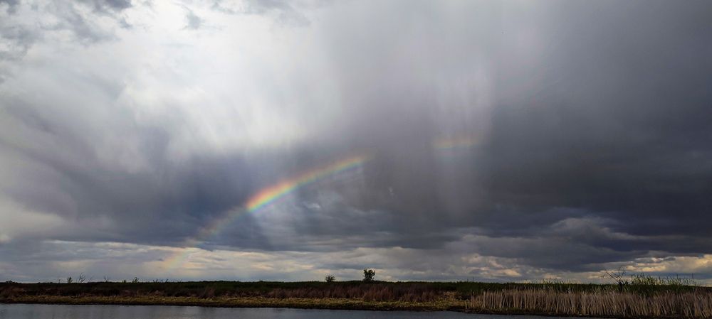 Photograph by Владимир Коновалов