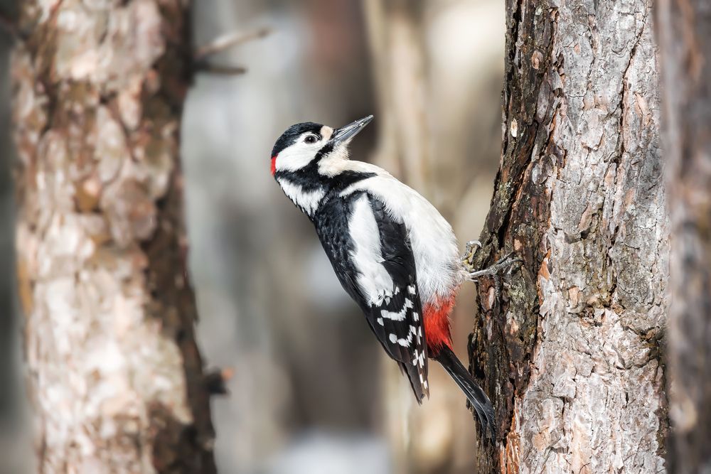 Photograph by Соколова Елена