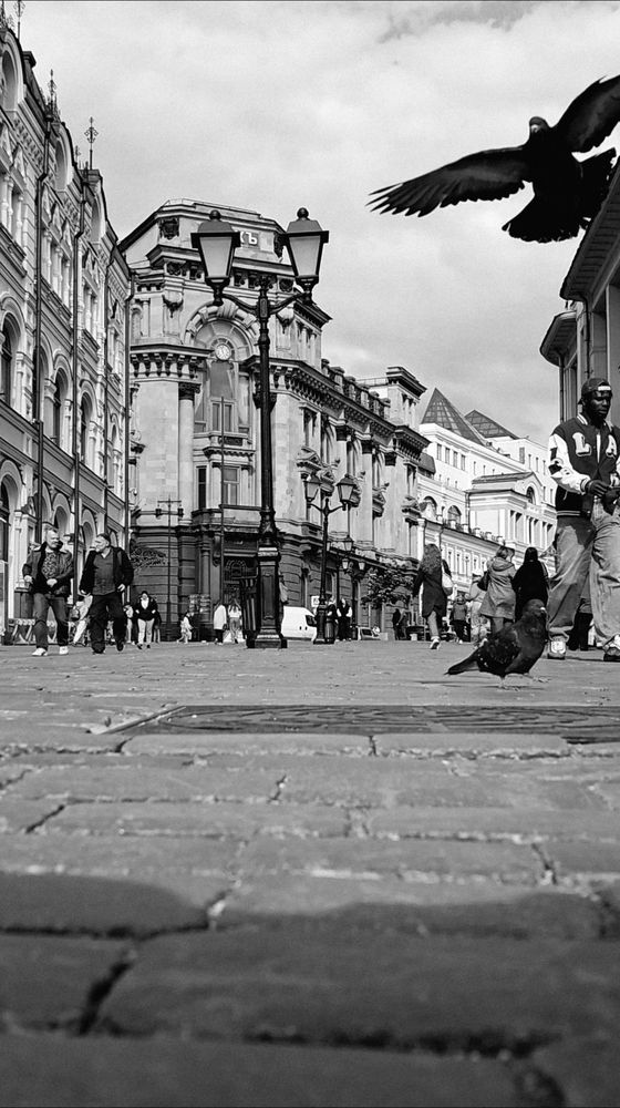 Photograph by Артём Быхалов