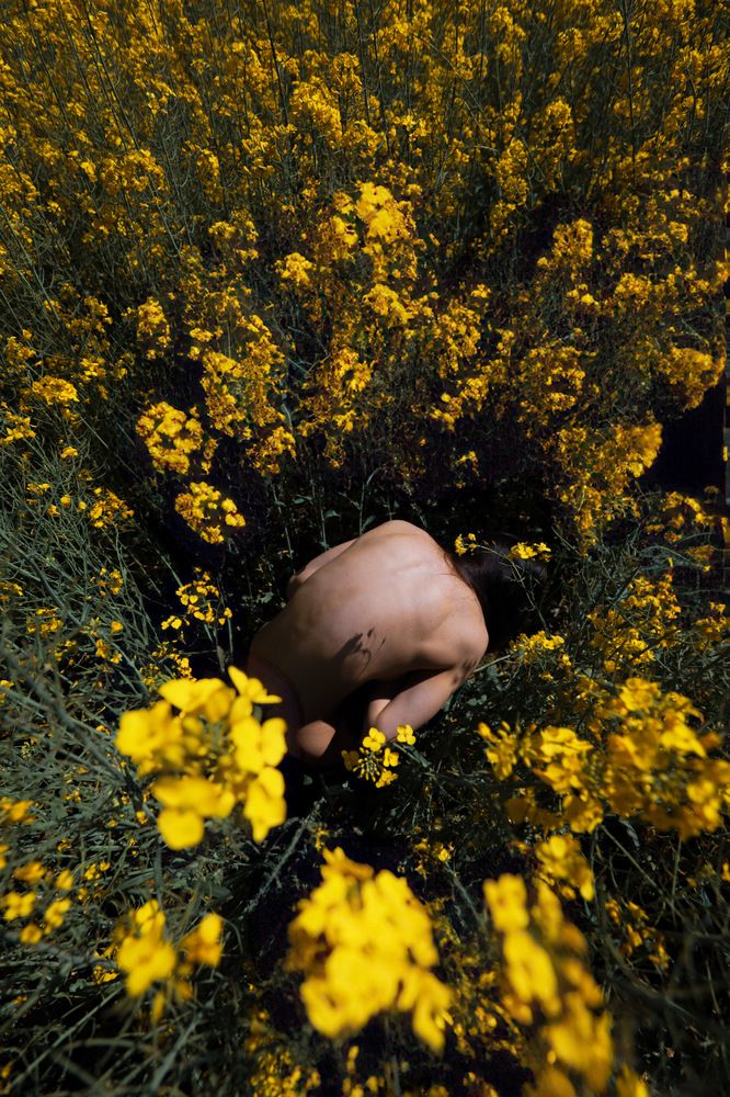 Photograph by Александр Шевешов