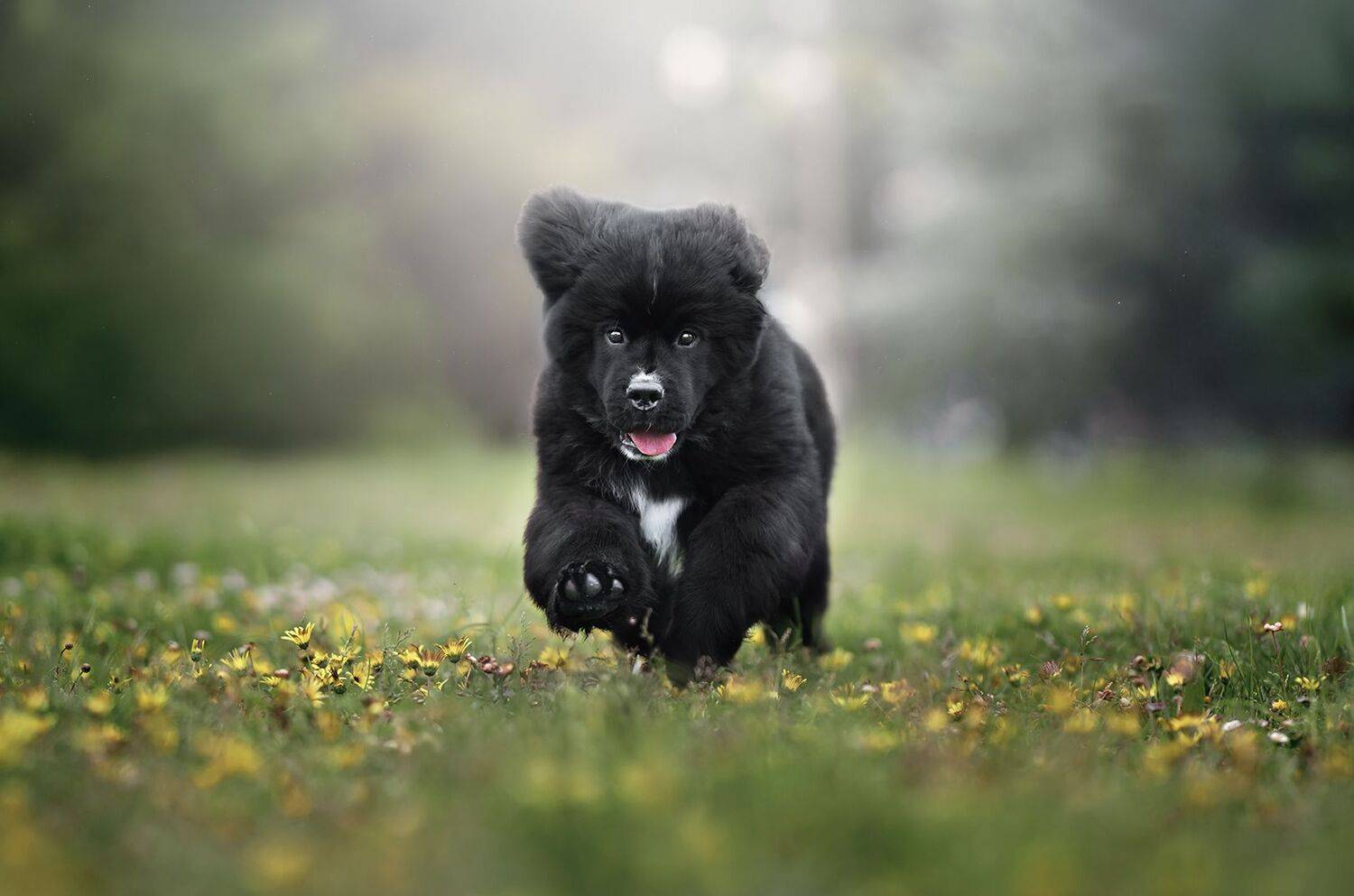 Фотография #12179089