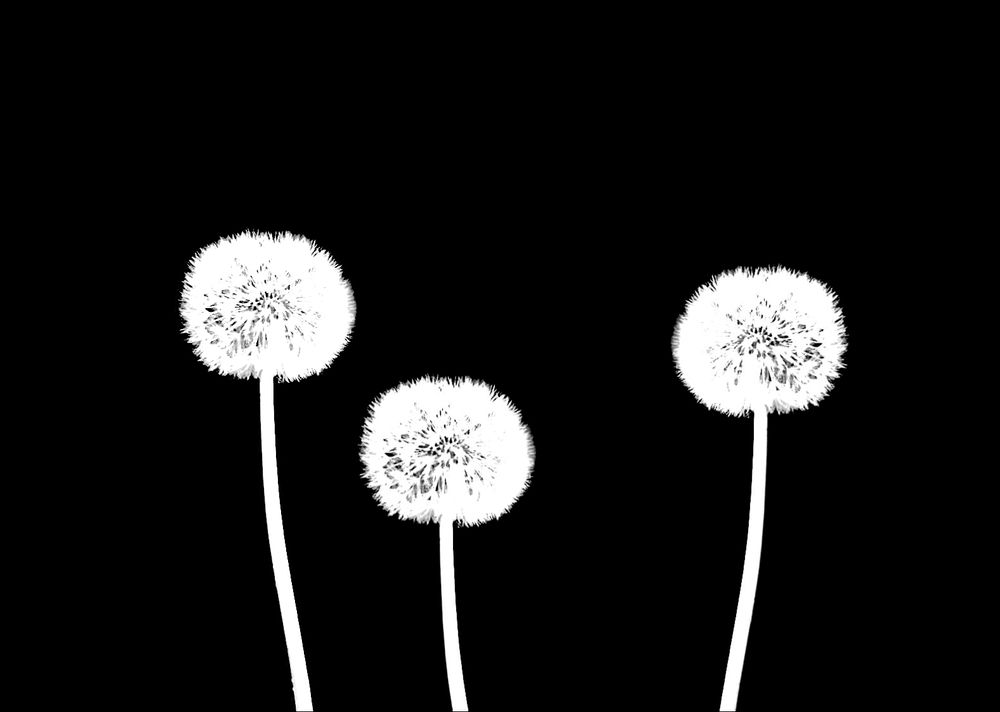 Photograph by Stella Szpinek