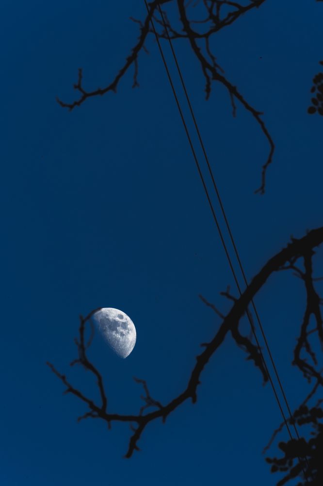 Photograph by Обида Ника