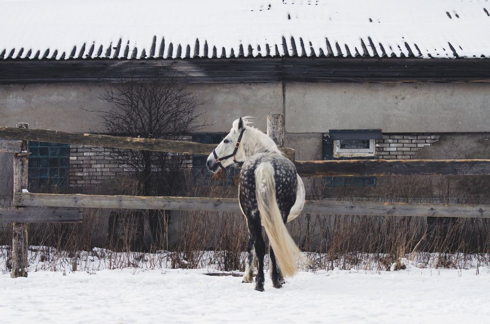 Photograph by Ксения Агаркова