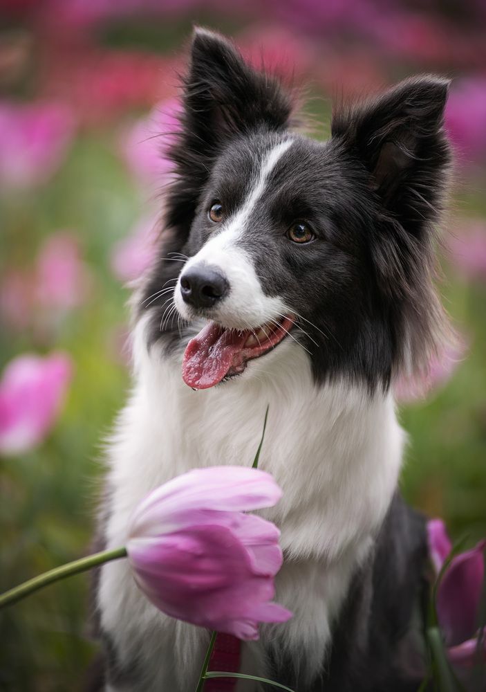 Photograph by Юлия Григорьева