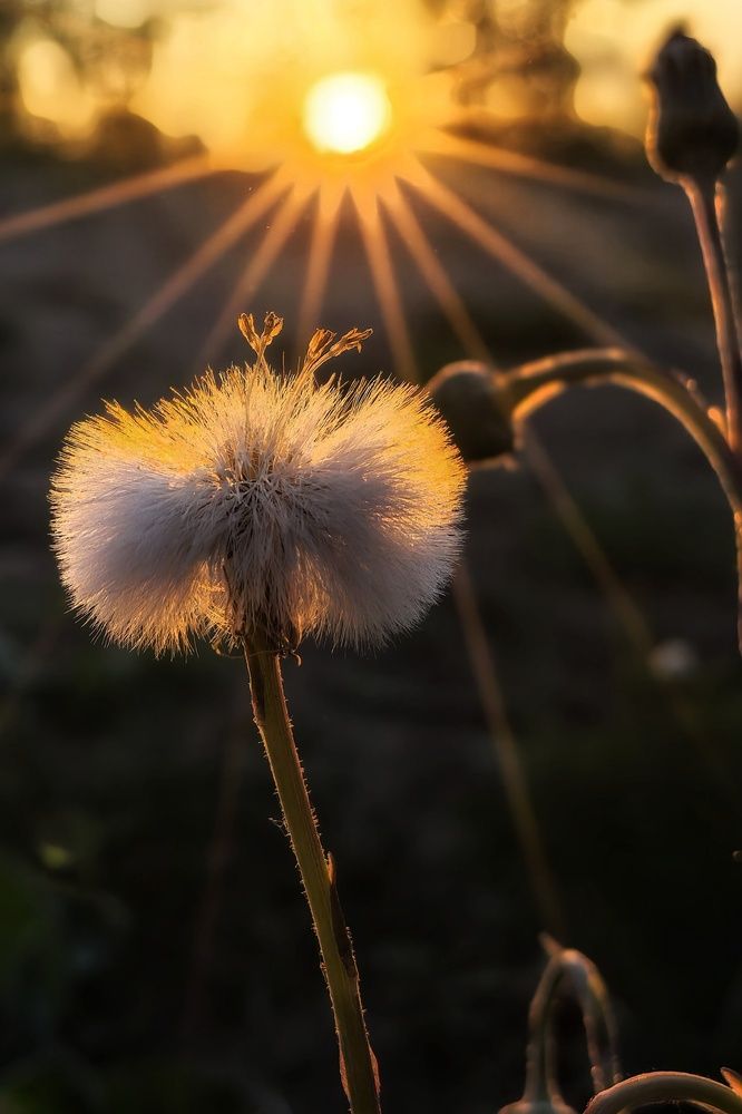 Photograph by Анна Зорька