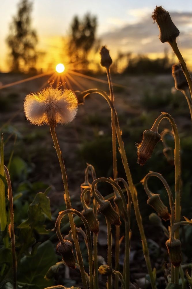 Photograph by Анна Зорька