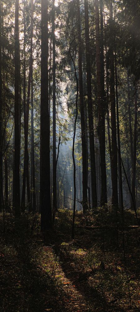 Photo #12179581