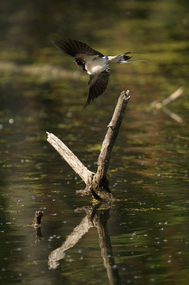 Фотография автора Егор Иванов