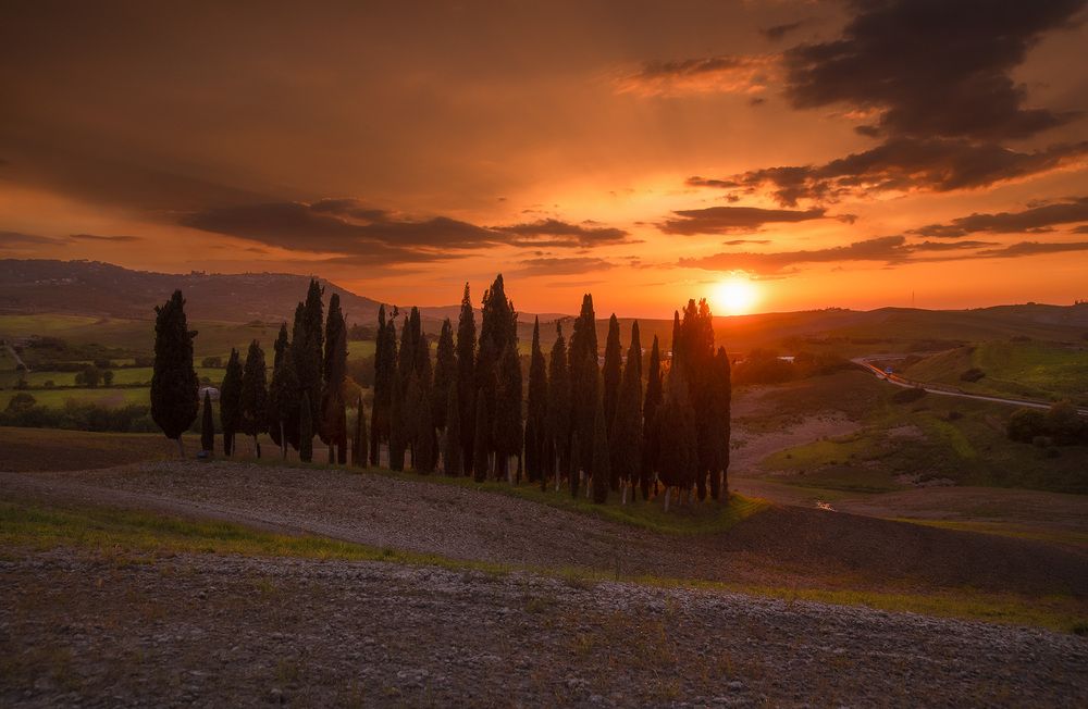 Tuscan Sunset