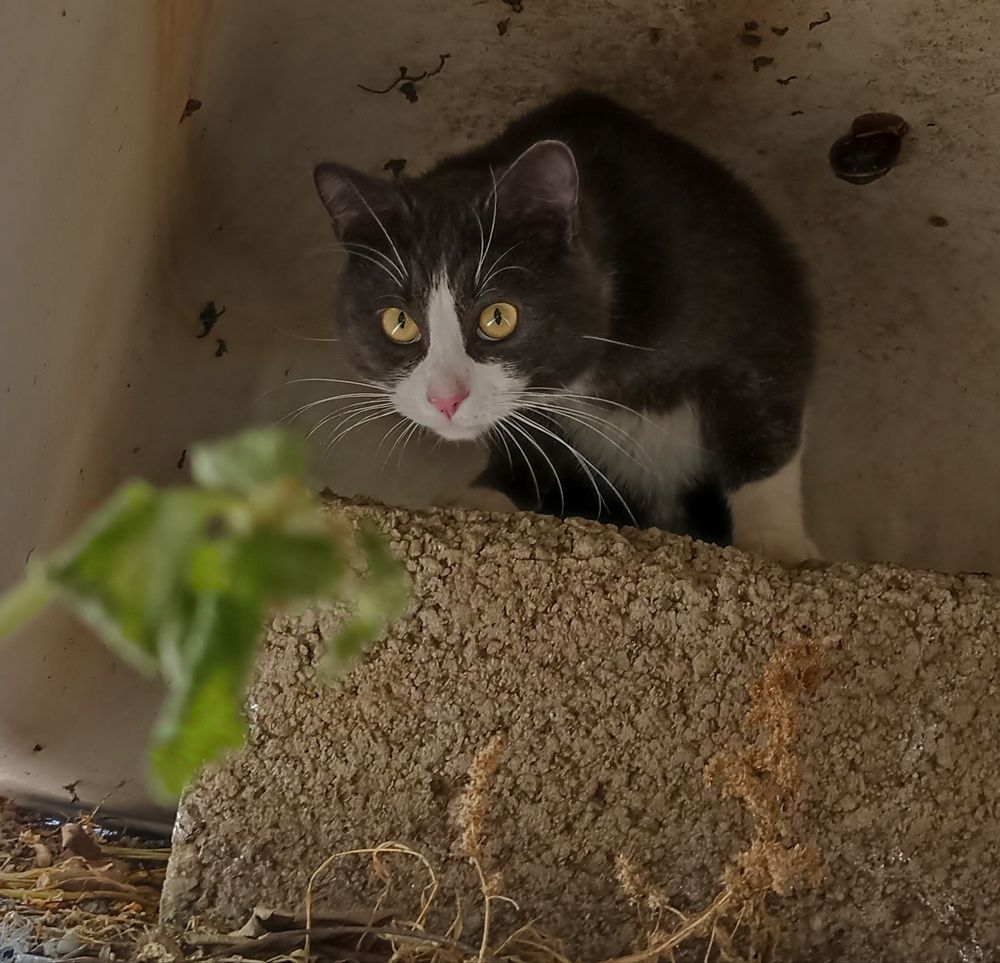 Photograph by Иван Левин