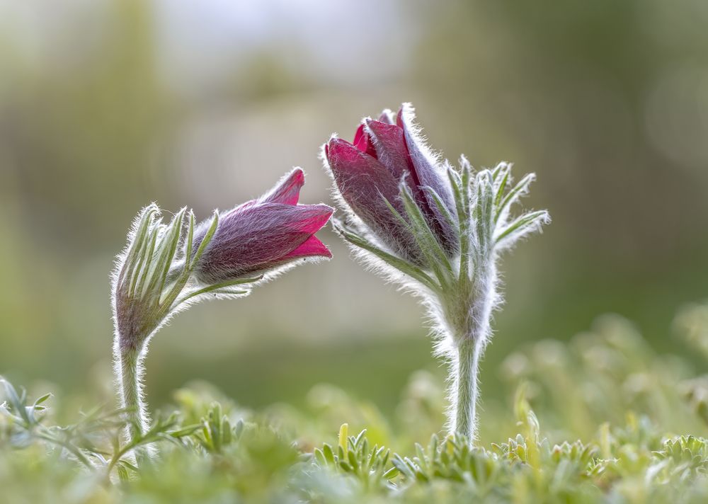 Photograph by Татьяна Феденкова