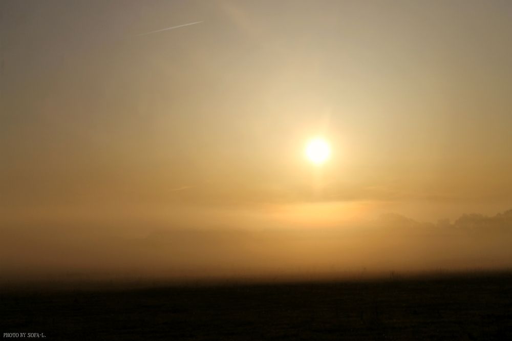 Photograph by София Лаврентьева