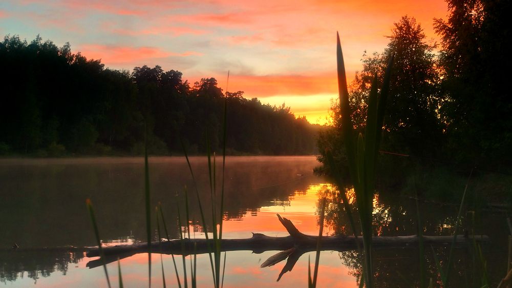 Photograph by София Лаврентьева