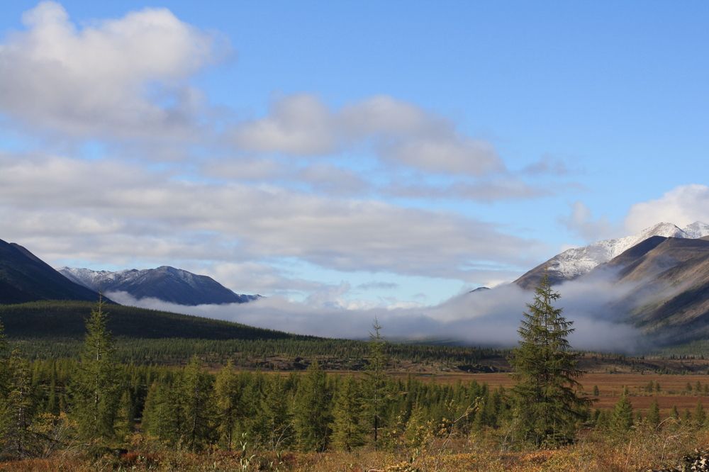 Photograph by Галина Искандарова