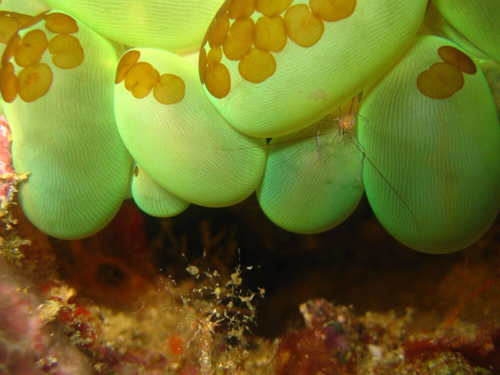 Photograph by Андрей Калинин