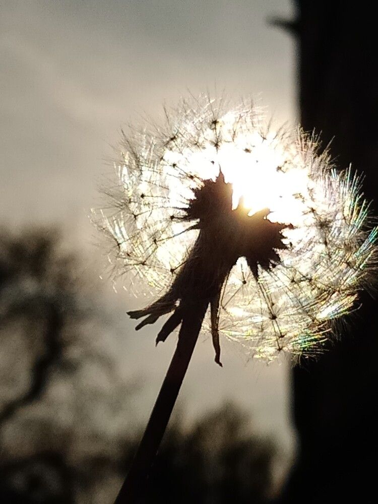 Photograph by Диана Сафина