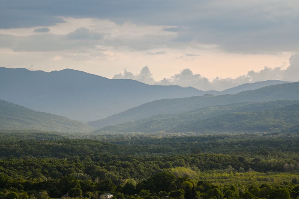 Photograph by Tim Wing