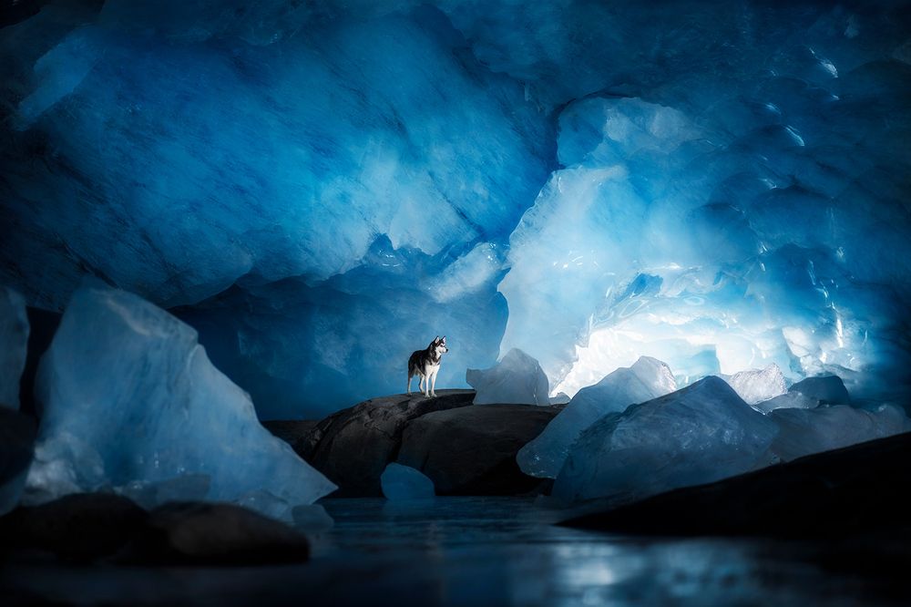 Photograph by Anne Geier