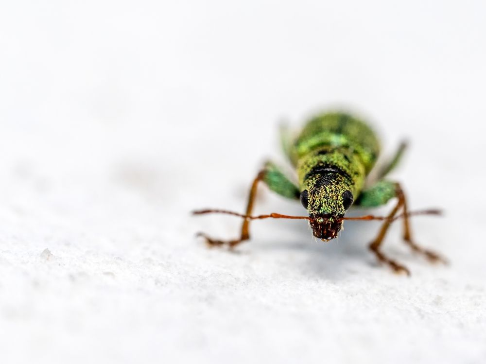 Photograph by Kamil Stępień