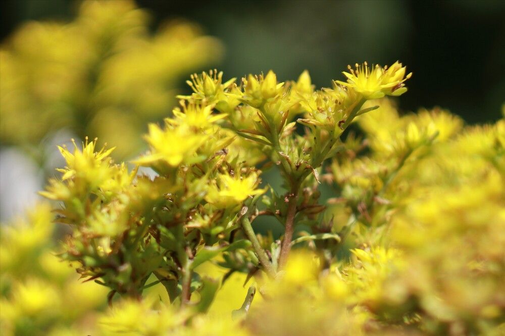 Фотография автора Александр Николаев