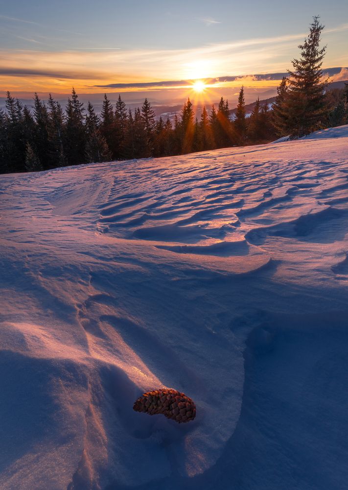 Photograph by Dimitar Titov