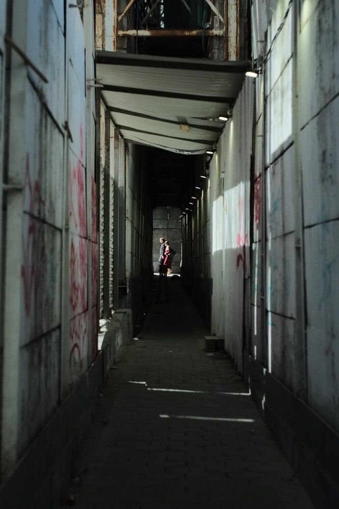 Photo #12181334