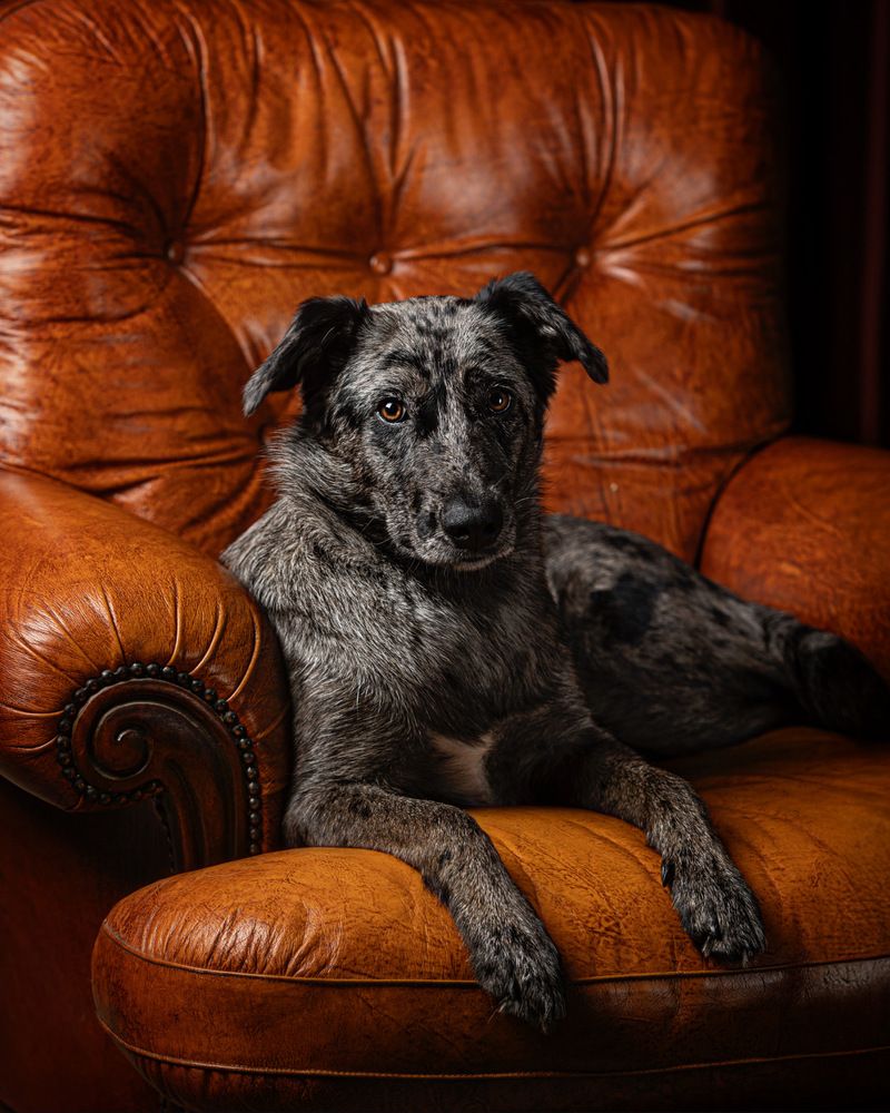 Photograph by Sara Sullivan Peccianti