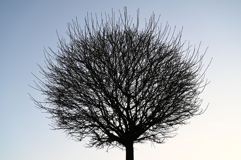 Фотография автора Роман Прохоров