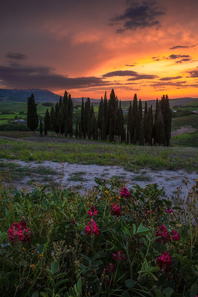 lights and colors in val d\'orcia