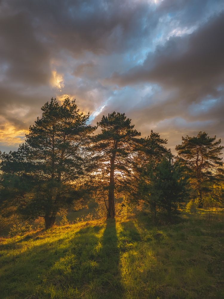 Photograph by Кирилл Сидоров