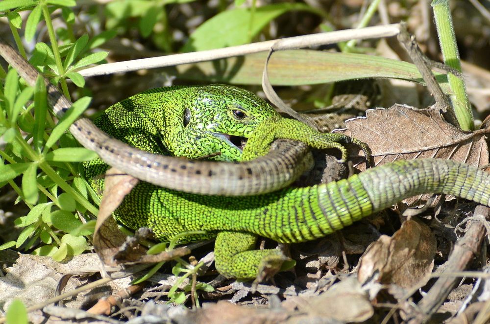 Photograph by Алексей Volg
