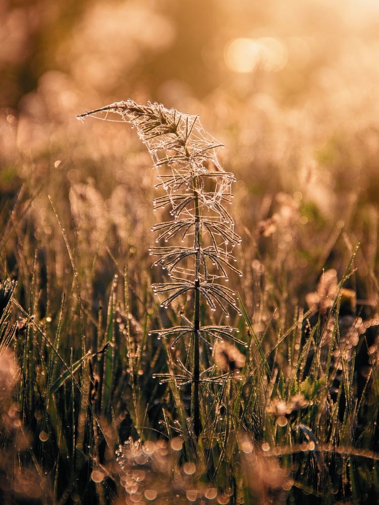 Photograph by Анна Любимова