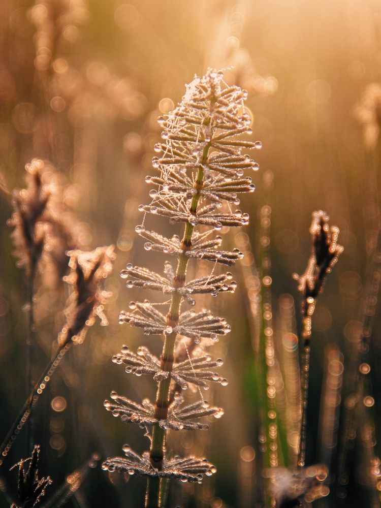 Photograph by Анна Любимова