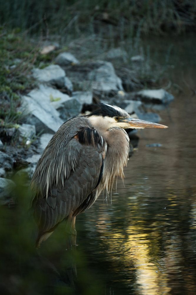 Photograph by Anna Cherkasova