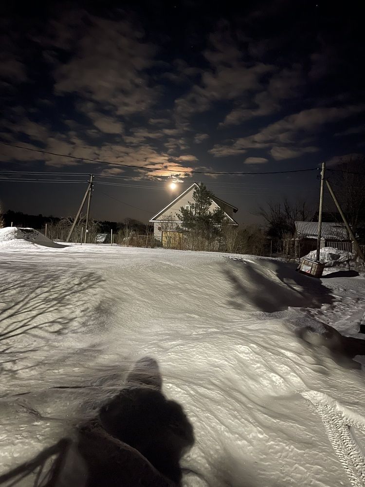 Photograph by Елена