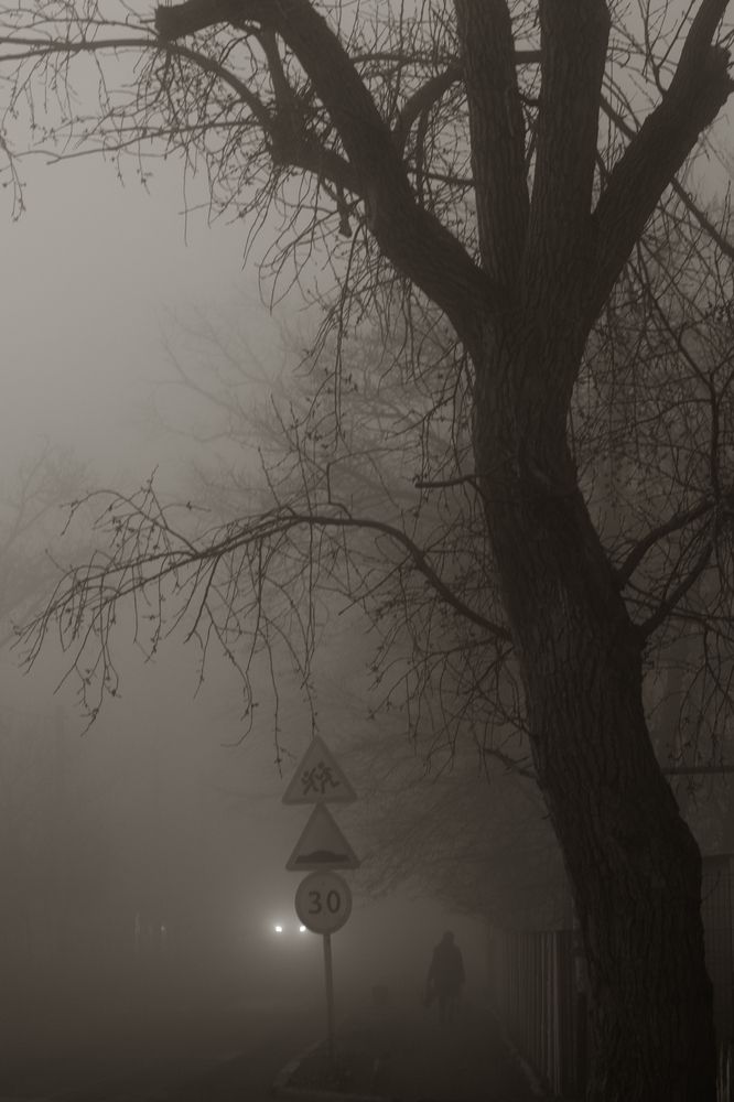 Photograph by Дмитрий Гривцов