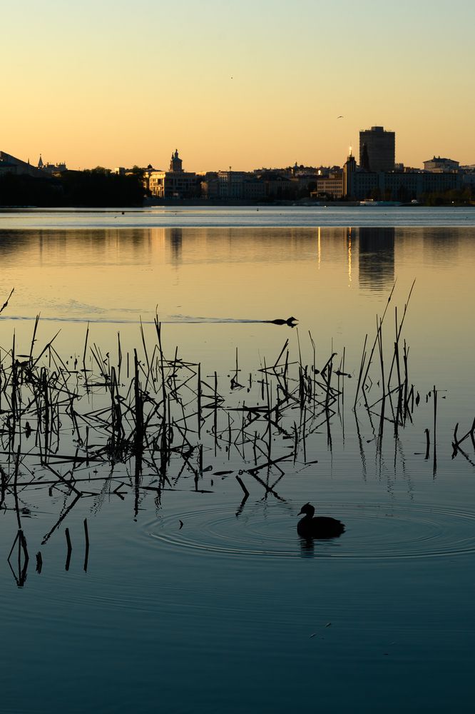 Photograph by Клейменов Алексей