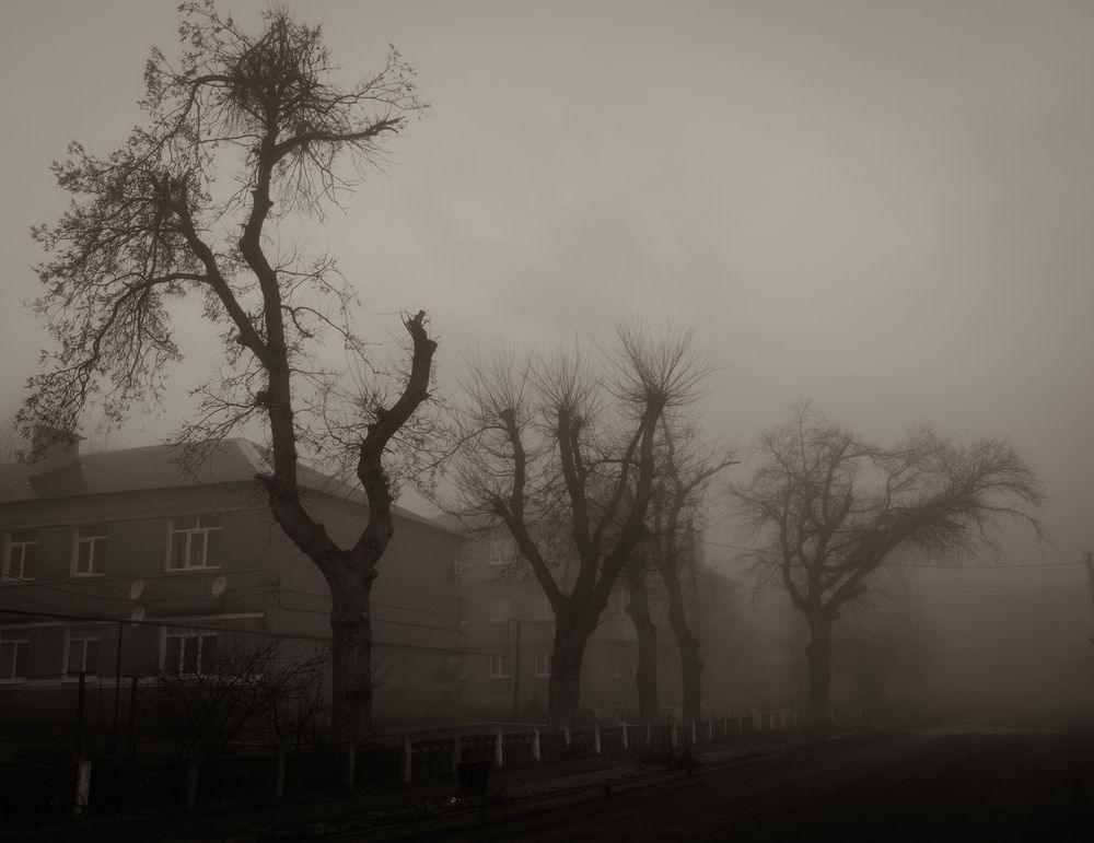 Photograph by Дмитрий Гривцов