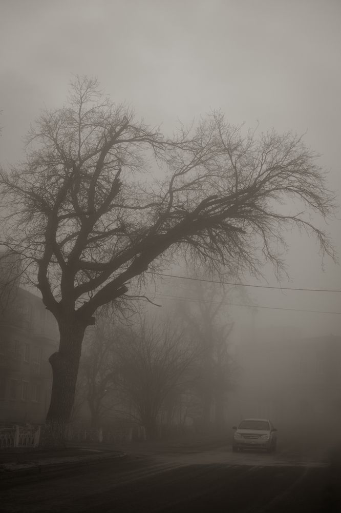 Photograph by Дмитрий Гривцов