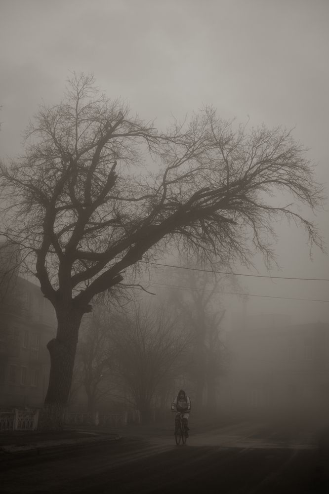 Photograph by Дмитрий Гривцов