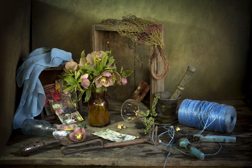 \"Во саду ли в огороде\"